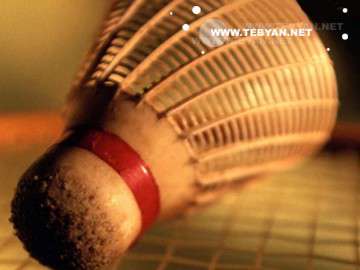 گالري عکس ورزشي