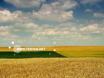 گالري عکس تابستان