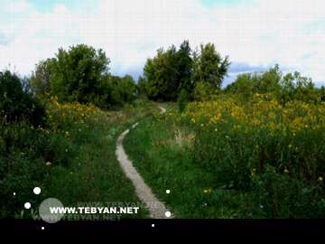 گالري عکس تابستان