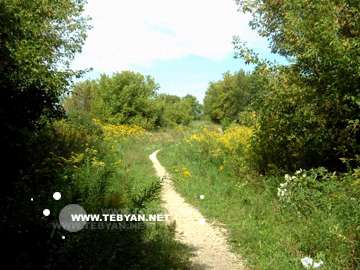 گالري عکس تابستان