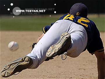 گالري عکس ورزشي