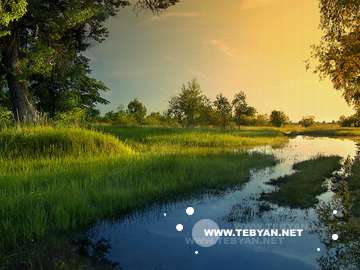 گالري عکس تابستان