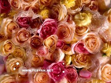 گالري عکس گل ها