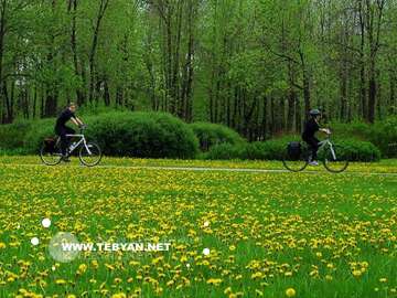 گالري عکس تابستان