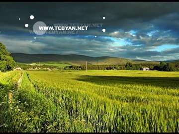 گالري عکس تابستان