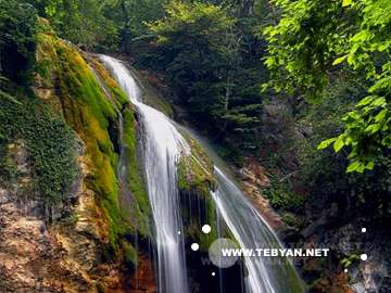 گالري عکس تابستان