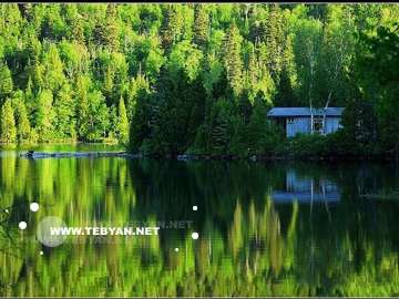 گالري عکس تابستان