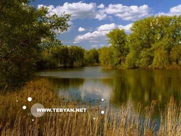 گالري عکس تابستان