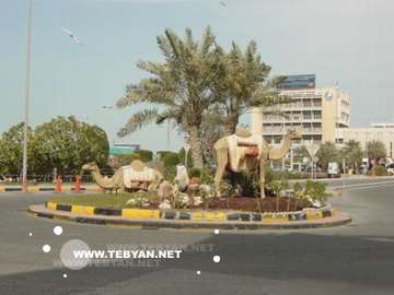 تصاويري زيبا و ديدني از کشور بحرين