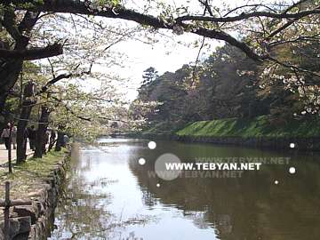 تصاويري زيبا و ديدني از کشور ژاپن