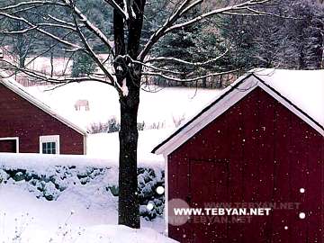تصاويري زيبا و ديدني از کشور کانادا