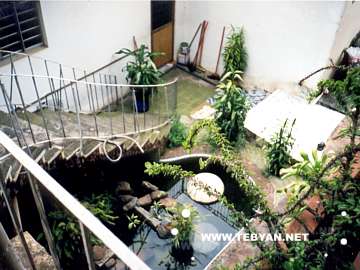 تصاوير زيبا و ديدني از کشور برزيل