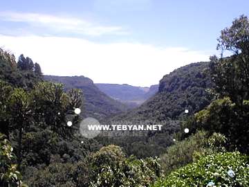 تصاوير زيبا و ديدني از کشور برزيل