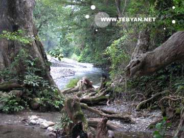 تصاويري زيبا و ديدني از کشور مکزيک