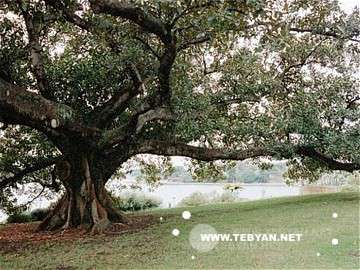 تصاويري زيبا و ديدني از کشور استراليا