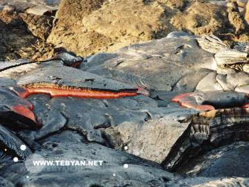 تصاويري زيبا و ديدني از کشور ايالات متحده آمريکا