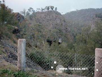 تصاويري زيبا و ديدني از کشور استراليا