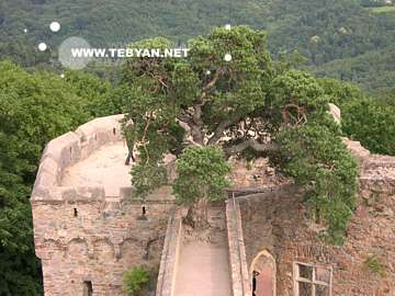 تصاويري زيبا و ديدني از کشور آلمان