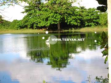 تصاوير زيبا و ديدني از کشور برزيل