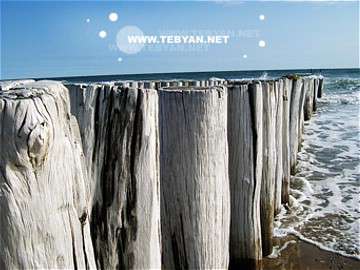 تصاويري زيبا و ديدني از کشور هلند