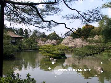 تصاويري زيبا و ديدني از کشور ژاپن