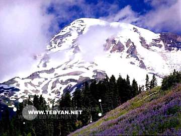 تصاويري زيبا و ديدني از کشور کانادا