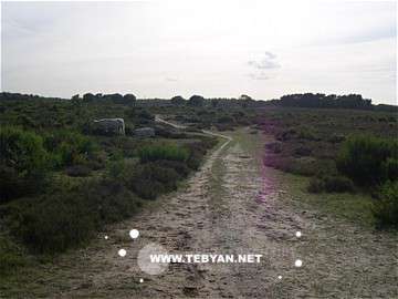 تصاويري زيبا و ديدني از کشور هلند