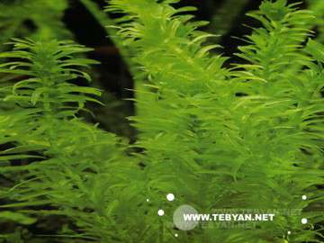 تصاويري زيبا و ديدني از کشور آرژانتين