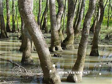 تصاويري زيبا و ديدني از کشور قبرس