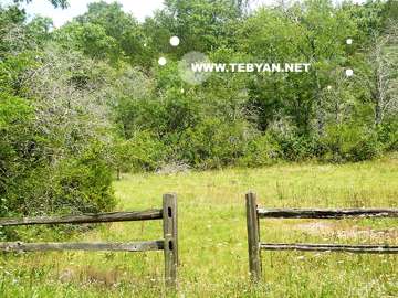 تصاويري زيبا و ديدني از کشور لبنان