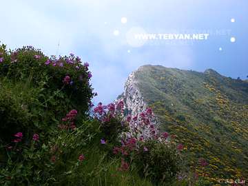 تصاوير زيبا و ديدني از کشور ايتاليا