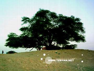 تصاويري زيبا و ديدني از کشور بحرين