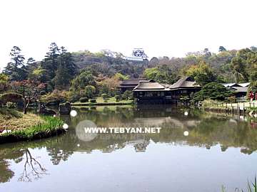 تصاويري زيبا و ديدني از کشور ژاپن