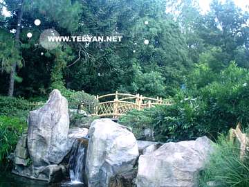 تصاويري زيبا و ديدني از کشور ژاپن