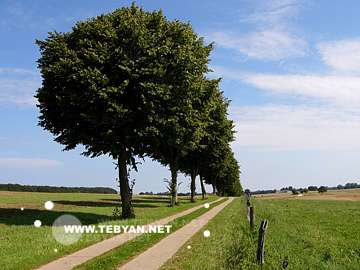 تصاويري زيبا و ديدني از کشور آلمان