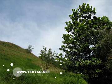 تصاويري زيبا و ديدني از کشور کلمبيا