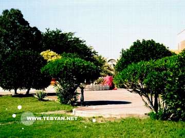 تصاويري زيبا و ديدني از کشور بحرين