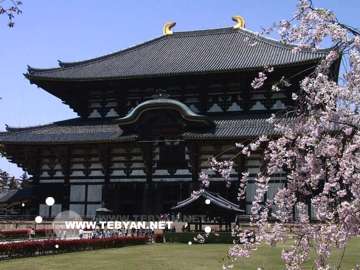 تصاويري زيبا و ديدني از کشور ژاپن