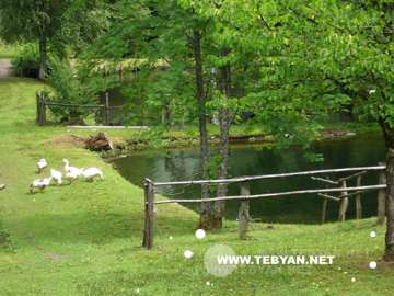 تصاويري زيبا و ديدني از کشور آلمان