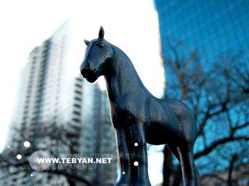 تصاويري زيبا و ديدني از کشور کانادا