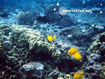 تصاويري زيبا و ديدني از کشور ايالات متحده آمريکا