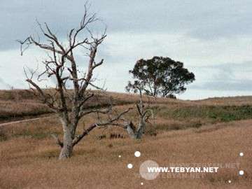 تصاويري زيبا و ديدني از کشور استراليا