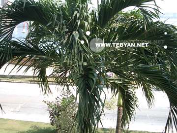 تصاويري زيبا و ديدني از کشور کلمبيا