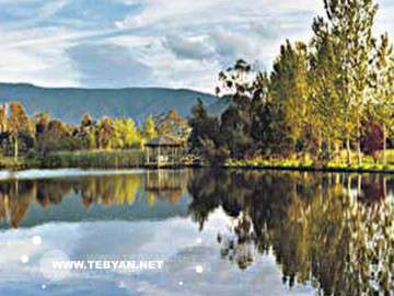 تصاويري زيبا و ديدني از کشور استراليا