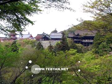 تصاويري زيبا و ديدني از کشور ژاپن