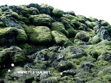 تصاويري زيبا و ديدني از کشور ايسلند