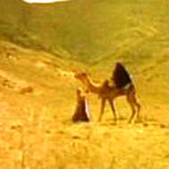 هجرت - کیفیت خوب