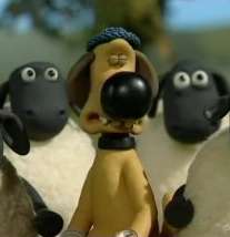 تمیز کردن خانه