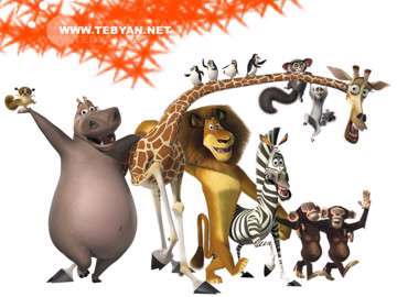 ماداگاسکار