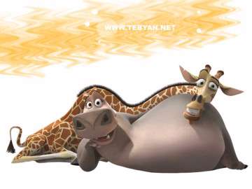 ماداگاسکار